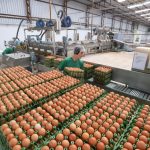 Mercado da soja opera sob incertezas, com clima e demanda chinesa no radar dos produtores