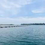 Da fazenda ao churrasco: qualidade da carne começa meses antes com genética, sanidade e manejo reprodutivo