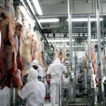 Safra Brasileira de Grãos Avança com Clima Favorável, Apesar de Pressão nos Preços da Soja e Alta do Milho