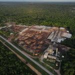 Safra recorde e queda na demanda pressionam preços da laranja na temporada 2025/26, aponta Itaú BBA