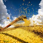 Tributação de insumos agrícolas reacende debate técnico e preocupa setor produtivo
