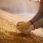 Vendas de etanol hidratado caem 3,7% em outubro, aponta ANP