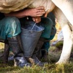 Hidrovias do Arco Norte se consolidam como rota estratégica do agronegócio brasileiro