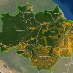 Governo apresenta a Agenda Positiva do Agronegócio, com práticas sustentáveis e inovação