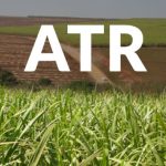 Polícia Civil intensifica ações de combate ao desmatamento ilegal de madeira Itaúba em Comodoro