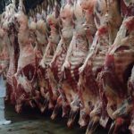 Regra do Proagro impede cobrança de dívidas enquanto recurso de seguro rural está em análise