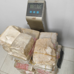 Mercado do açúcar oscila com produção indiana em alta e recuo nas cotações internacionais; etanol mantém avanço no Brasil