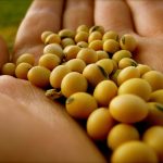 Segurança Pública mobiliza cerca de 700 policiais para shows de Gusttavo Lima e Alok