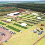 Demanda de fim de ano impulsiona preços da carne suína no atacado, aponta Cepea