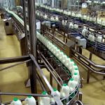 Plantio do milho verão ultrapassa 70% no Brasil, com destaque para o avanço em Minas Gerais e Sul do país