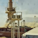 Exportação de carne suína recua 14% em novembro e receita também cai