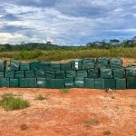 Olivoturismo no Brasil: produtores defendem experiência completa para turistas