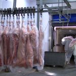 Minas Gerais sediará em 2026 a Expo Minas Florestal, feira exclusiva dedicada à indústria de florestas plantadas