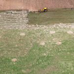 Nota Oficial – Finalização do Gramado no Cerradão