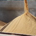 Oscilações do café refletem impacto do clima no Brasil e baixos estoques globais