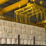 Chuvas abrem janela ideal para o plantio de pastagens: veja orientações da Embrapa