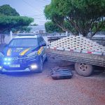 PM apreende integrantes de facção criminosa e resgatam vítimas de “tribunal do crime” em Tangará da Serra