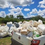 Frísia distribui R$ 7,2 milhões em resultados agrícolas a 390 cooperados do Paraná e Tocantins