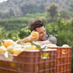 Estado deve ter o 3º maior crescimento do PIB em 2025, puxado pelo agro