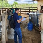 Preços do algodão recuam no Brasil e no exterior, acumulando seis meses seguidos de queda