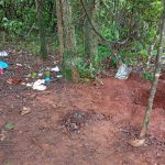 Coamo antecipa R$ 200 milhões em sobras e beneficia mais de 32 mil cooperados no Sul e Centro-Oeste