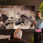 Porto de Paranaguá bate recorde no embarque de milho com novo calado