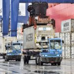 Rio Grande do Sul conclui colheita de cevada com alta produtividade e grãos de qualidade para malteação