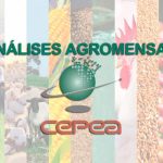 Mercados globais operam com cautela antes da decisão do Fed; bolsas no Brasil e no mundo registram leves altas