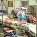 Compras chinesas nos EUA definem rumo do mercado global de soja