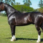 USDA mantém cenário estável para soja e milho no relatório de dezembro