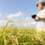 Polícia Civil prende homem por descumprimento de medida protetiva em Cocalinho