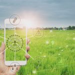 Crédito ao agro desacelera, mas Banco do Brasil mantém oferta de R$ 230 bilhões na safra