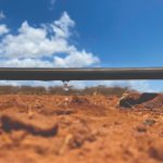 Demanda pelo arroz começa a reagir, mas preços seguem em queda, aponta Cepea