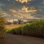 Deputado Thiago Silva se destaca na ALMT aprovando leis, criando projetos sociais e realizando entregas para a população