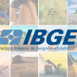 Produção de etanol nos EUA recua para 1,105 milhão de barris por dia na primeira semana de dezembro