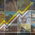 Condições de umidade favorecem avanço das lavouras na Argentina