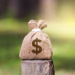 Chile amplia importações e Paraná consolida presença nas exportações de carne suína