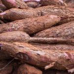 Vigilância Epidemiológica publica calendário especial de funcionamento das Farmácias Municipais no fim de ano