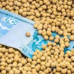 Renegociação avança só no papel: R$ 5,2 bi aprovados, R$ 6,8 bi parados e dívida crescendo