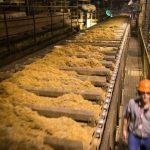 Setor avícola busca retomada das exportações de carne de frango do Rio Grande do Sul à China