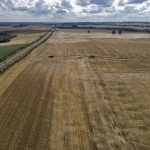 Leilão Santa Angélica e Estribillo destaca genética Crioula premiada e oferta diversificada de animais