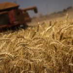 MAPA e MDA discutem políticas de apoio a produtores com Fetag e Federarroz em Porto Alegre