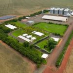 PRO Carbono lidera agricultura regenerativa e impulsiona descarbonização do agronegócio na América Latina