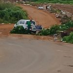 Embrapa desenvolve projeto pioneiro para cultivo sustentável do pau-rosa na Amazônia