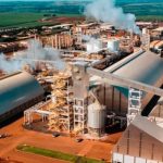 Insumos biológicos revolucionam o controle de doenças foliares na soja e fortalecem manejo sustentável nas lavouras