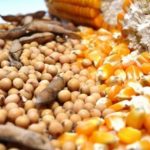 Inadimplência no crédito rural segue alta e força bancos a reforçar vigilância sobre risco