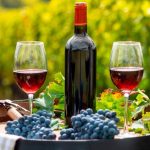 Setor produtivo alerta: corte linear de benefícios do PLP 128 encarece custo do agro