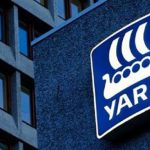 Crise na cebola em 2025 é impulsionada por clima favorável e alta produtividade, aponta Cepea