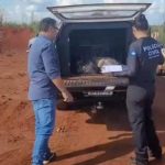 Recebimentos Itinerantes levam logística reversa a produtores rurais e ampliam devolução correta de embalagens no agro