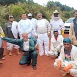 Produtor de Mato Grosso conquista recorde nacional ao colher 268,4 sacas de milho por hectare